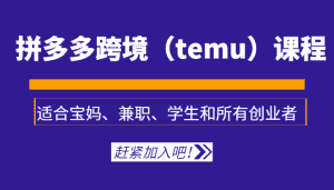 拼多多跨境（temu）课程，适合宝妈、兼职、学生和所有创业者-优优云创网