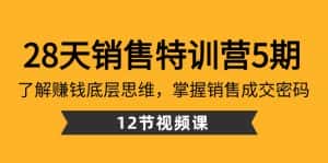28天销售特训营5期:了解赚钱底层思维,掌握销售成交密码(12节课)-优优云创网
