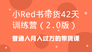 小Red书带货42天训练营（2.0版）普通人月入过万的带货课-优优云创网