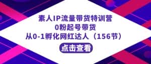 繁星·计划素人IP流量带货特训营：0粉起号带货 从0-1孵化网红达人（156节）-优优云创网