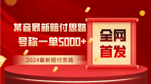 全网首发，2024最新某音赔付思路，号称一单收益5000+-优优云创网