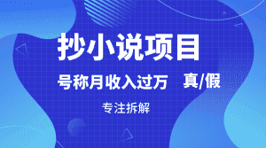 抄小说项目，号称月入过万，到底是否真实，能不能做，详细拆解-优优云创网