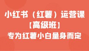 小红书（红薯）运营课【高级班】，专为红薯小白量身而定（42节课）-优优云创网