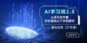 AI学习班2.0:从菜鸟到学霸,夯实基础从干货到硬货,重在应用(17节课)-优优云创网