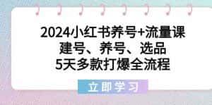 2024小红书养号+流量课：建号、养号、选品，5天多款打爆全流程-优优云创网