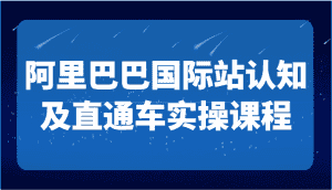 阿里巴巴国际站认知及直通车实操课-国际地产逻辑、国际站运营定位、TOP商家运营思路-优优云创网