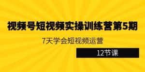 视频号短视频实操训练营第5期:7天学会短视频运营(12节课)-优优云创网