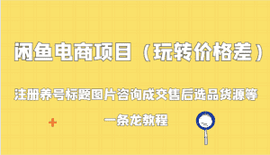 闲鱼电商项目(玩转价格差):注册养号标题图片咨询成交售后选品货源等,一条龙教程-优优云创网