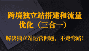 跨境独立站搭建和流量优化（三合一）解决独立站运营问题，不走弯路！-优优云创网