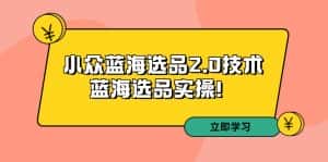拼多多培训第33期：小众蓝海选品2.0技术-蓝海选品实操-优优云创网