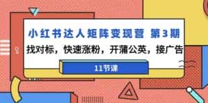 小红书达人矩阵变现营第3期,找对标,快速涨粉,开蒲公英,接广告(11节课)-优优云创网