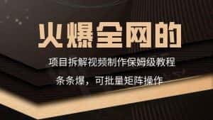 火爆全网的项目拆解类视频如何制作，条条爆，保姆级教程-优优云创网