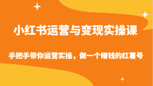 小红书运营与变现实操课-手把手带你运营实操，做一个赚钱的红薯号-优优云创网