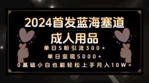 2024首发蓝海塞道成人用品，月入10W+保姆教程-优优云创网