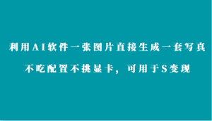 利用AI软件只需一张图片直接生成一套写真，不吃配置不挑显卡，可用于S变现-优优云创网
