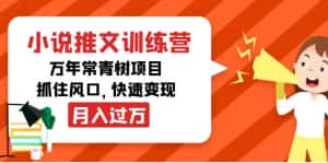 (4049期)小说推文训练营,万年常青树项目,抓住风口,快速变现月入过万-优优云创网