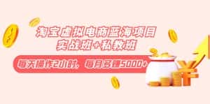 (4056期)淘宝虚拟电商蓝海项目实战班+私教班:每天操作2小时,每月多赚5000+-优优云创网