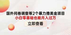 （4062期）国外问卷调查等2个暴力撸美金项目，小白零基础也能月入过万-优优云创网