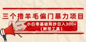 (4110期)外面卖998的三个撸羊毛偏门暴力项目,小白零基础照抄日入300+(附带工具)-优优云创网