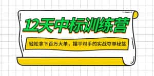 （4116期）12天中标训练营：轻松拿下百万大单，摆平对手的实战夺单秘笈！-优优云创网