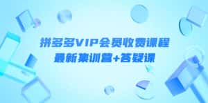 (4127期)某社群·拼多多VIP会员收费课程,最新集训营+答疑课-价值3299元-优优云创网
