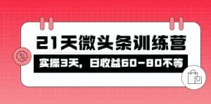 (4129期)被忽视的微头条,21天微头条训练营,实操3天,日收益60-80不等-优优云创网