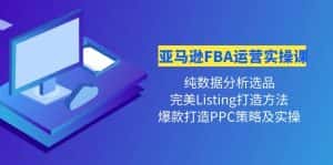（4159期）亚马逊FBA运营实操课 纯数据分析选品+完美Listing打造+爆款打造PPC策略实操-优优云创网