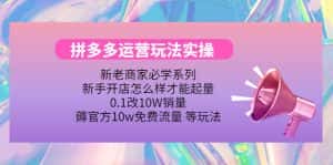 (4160期)拼多多运营玩法实操,0.1改10W销量,薅官方10w免费流量 等玩法!-优优云创网