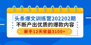 （4167期）头条爆文训练营202202期，不断产出优质的爆款内容，新手12天收益3100+-优优云创网