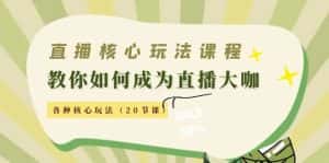 (4199期)直播核心玩法:教你如何成为直播大咖,各种核心玩法(20节课)-优优云创网