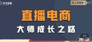 （4200期）直播电商高手成长之路：教你成为直播电商大师，玩转四大板块（25节）-优优云创网