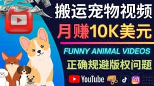 （4221期）搬运TIKTOK视频到YouTube，并进行二次创作，月赚1万美元以上-优优云创网