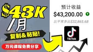 (4371期)2022抖音国际版Tiktok赚钱项目:每天上传一个视频就轻松月入$43200-优优云创网