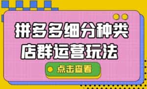 (4373期)拼多多细分种类店群运营玩法3.0,11月最新玩法,小白也可以操作-优优云创网