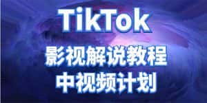（4233期）外面收费2980元的TikTok影视解说、中视频教程，比国内的中视频计划收益高-优优云创网