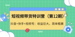 (4406期)短视频带货特训营(第12期)抖音+快手+视频号:收益巨大,简单粗暴!-优优云创网