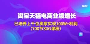 (4409期)淘系天猫电商业绩增长:已培养上千位卖家实现100W+利润(700节30G课程)-优优云创网