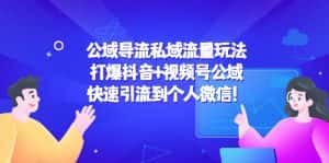 (4416期)公域导流私域流量玩法:打爆抖音+视频号公域,快速引流到个人微信!-优优云创网