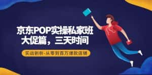 (4258期)京东POP实操私家班:大促篇,3天时间,实战剖析-从零到百万爆款店铺-优优云创网