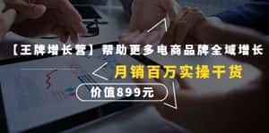 (4264期)【王牌增长营】帮助更多电商品牌全域增长,月销百万实操干货,价值899元-优优云创网