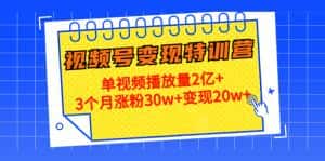 （4455期）20天视频号变现特训营：单视频播放量2亿+3个月涨粉30w+变现20w+-优优云创网