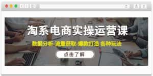 (4463期)淘系电商实操运营课:数据分析-流量获取-爆款打造 各种玩法(63节)-优优云创网