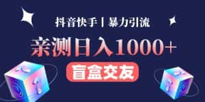 (4270期)亲测日收益1000+的交友盲盒副业丨有手就行的抖音快手暴力引流-优优云创网