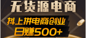 (4475期)抖上拼无货源电商创业项目、外面收费12800,日赚500+的案例解析参考-优优云创网