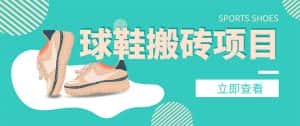 （4486期）外面收费998的球鞋搬砖项目，月入5000+【详细教程+资源渠道】-优优云创网