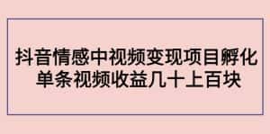 (4282期)黄岛主副业孵化营第5期:抖音情感中视频变现项目孵化 单条视频收益几十上百-优优云创网