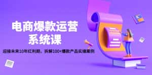 (4523期)电商爆款运营系统课:迎接未来10年红利期,拆解100+爆款产品实操案例-优优云创网