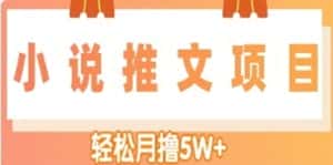（4554期）小说推文副业赚钱项目，另类进阶玩法，轻松月撸5W+-优优云创网