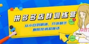 (4318期)拼多多店群训练营:从小白到精通,只讲精华,剔除推销和废话-优优云创网