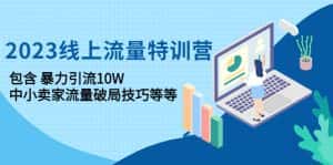 (4567期)2023线上流量特训营:包含暴力引流10W+中小卖家流量破局技巧等等-优优云创网
